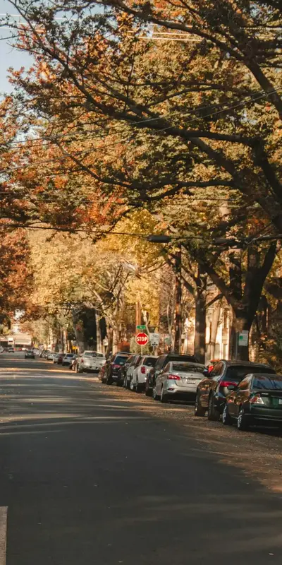 Cars Parked in Road of Sacramento